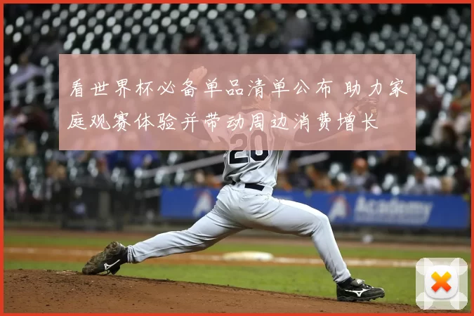 看世界杯必备单品清单公布 助力家庭观赛体验并带动周边消费增长