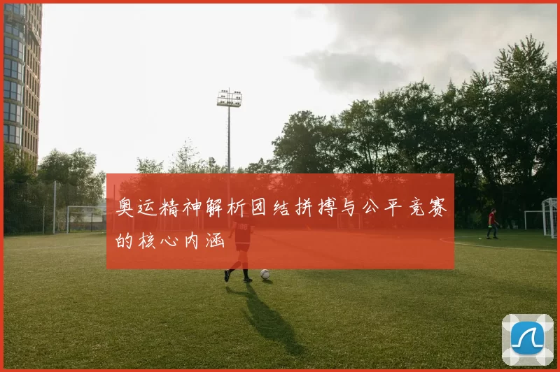 奥运精神解析团结拼搏与公平竞赛的核心内涵