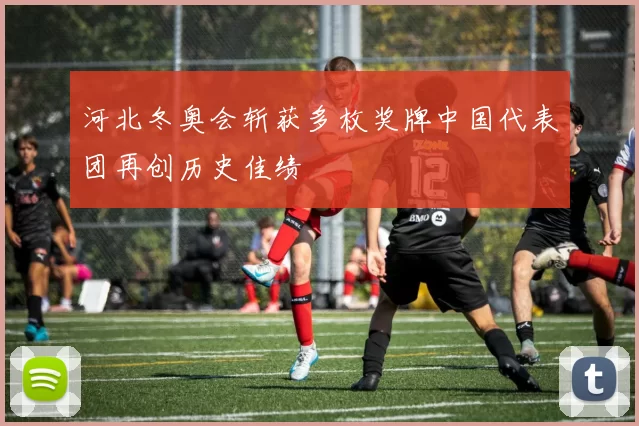 河北冬奥会斩获多枚奖牌中国代表团再创历史佳绩