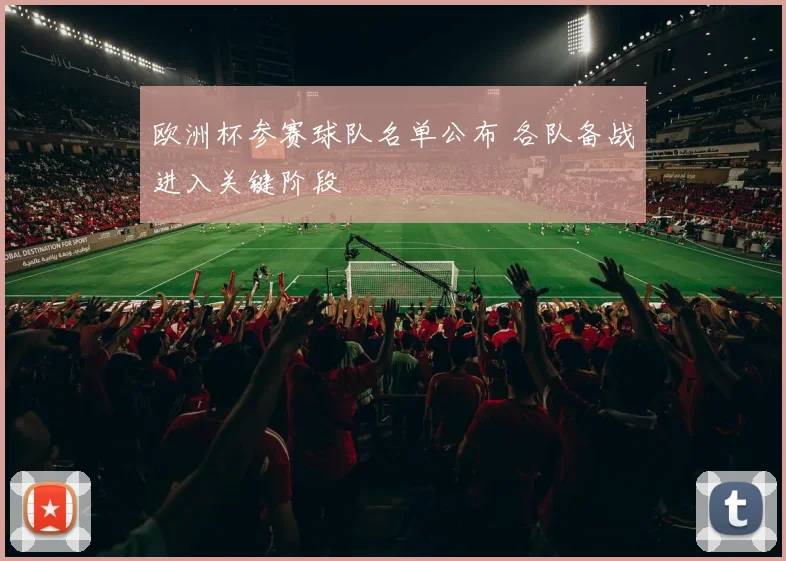 欧洲杯参赛球队名单公布 各队备战进入关键阶段